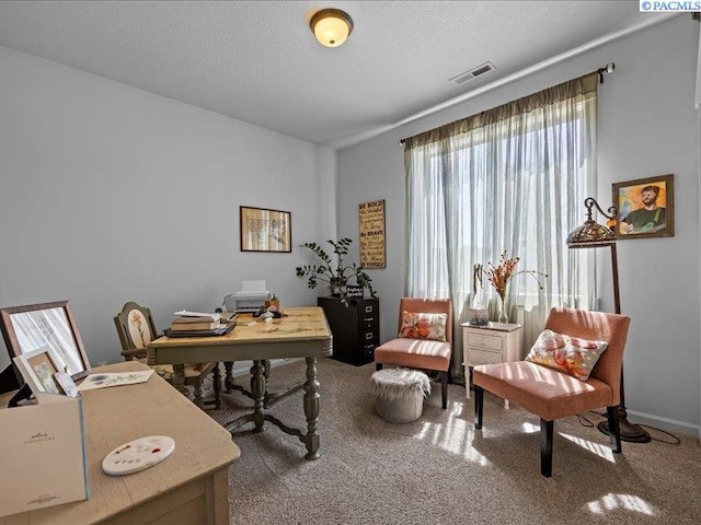office with carpet flooring, visible vents, and plenty of natural light