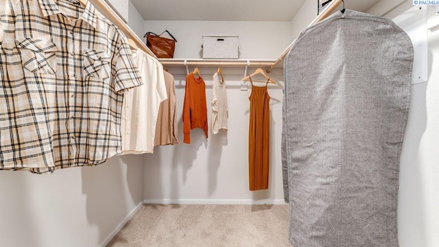 611 S Zeelar St, Kennewick, WA 99336 - spacious closet featuring carpet flooring