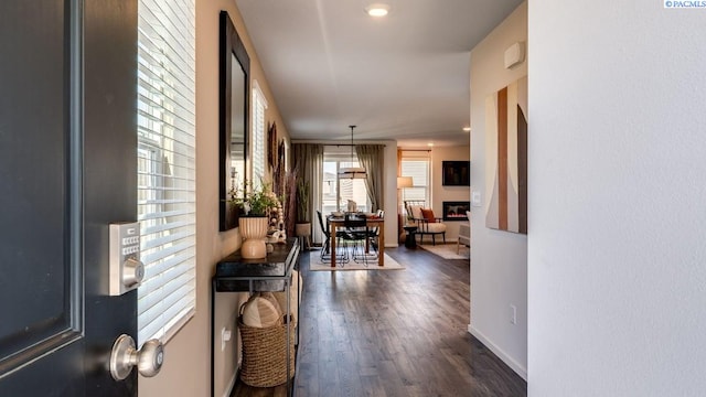 611 S Zeelar St, Kennewick, WA 99336 - corridor with dark wood-style flooring and baseboards