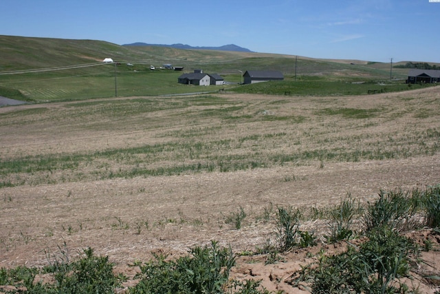 1491 Orville Boyd Rd, Pullman, WA 99163 - photo 2
