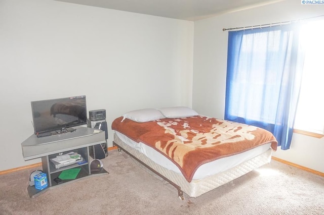 8716 Kingsbury Dr, Pasco, WA 99301 - photo 12