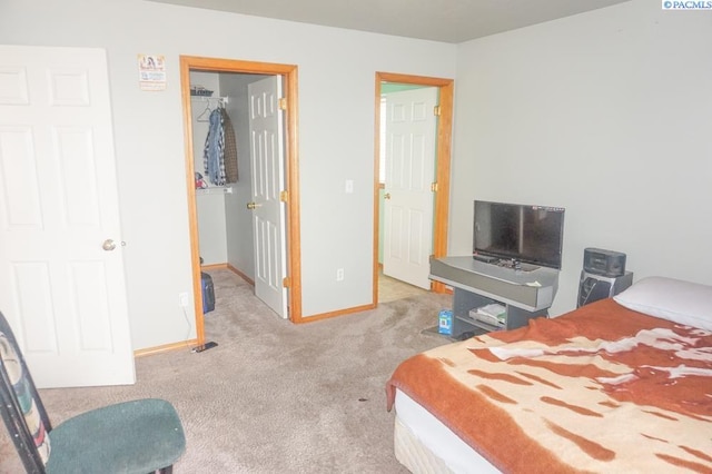 8716 Kingsbury Dr, Pasco, WA 99301 - photo 13