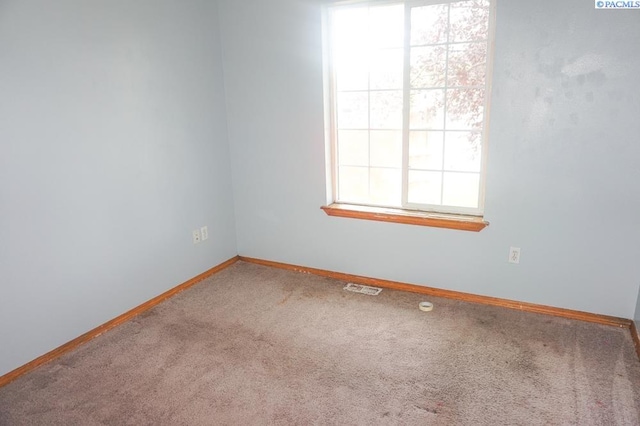8716 Kingsbury Dr, Pasco, WA 99301 - photo 10