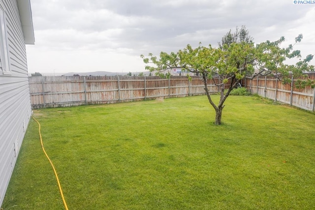 8716 Kingsbury Dr, Pasco, WA 99301 - photo 17