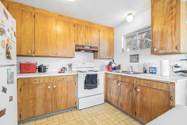 1430 NW Deane St, Pullman, WA 99163 - kitchen featuring white appliances, under cabinet range hood, light countertops, a sink, and a textured ceiling