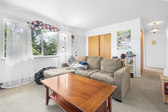 1430 NW Deane St, Pullman, WA 99163 - living area featuring healthy amount of natural light, light colored carpet, and a textured ceiling