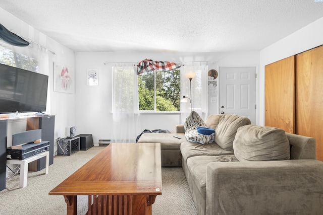 1430 NW Deane St, Pullman, WA 99163 - carpeted living room with a textured ceiling