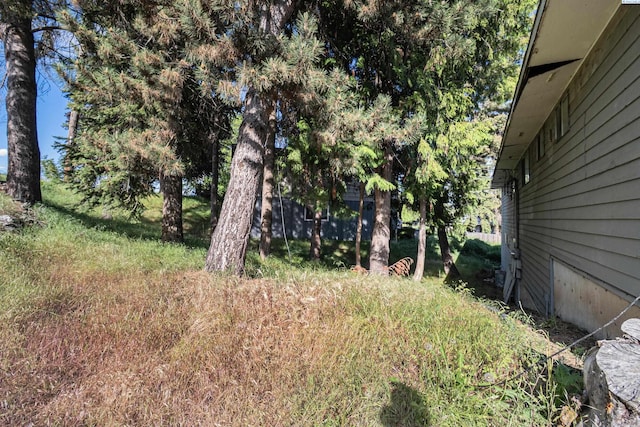 1430 NW Deane St, Pullman, WA 99163 - view of yard