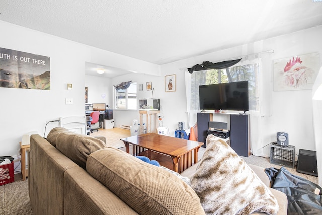 1430 NW Deane St, Pullman, WA 99163 - living room featuring carpet