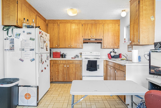 1430 NW Deane St, Pullman, WA 99163 - kitchen featuring white appliances, under cabinet range hood, a sink, light countertops, and brown cabinets