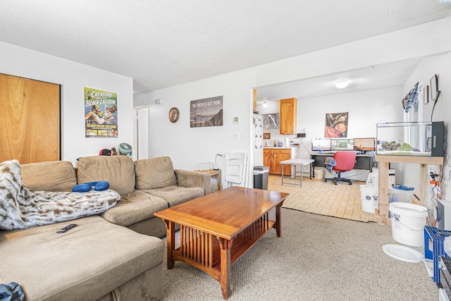 1430 NW Deane St, Pullman, WA 99163 - living room featuring light colored carpet