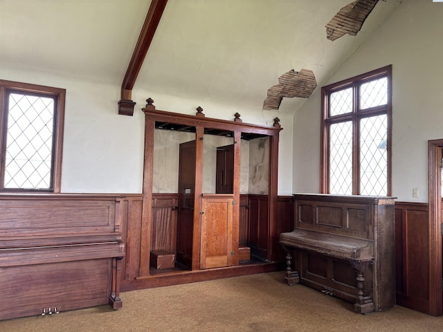 misc room with vaulted ceiling and carpet