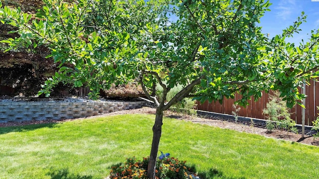 4318 Desert Pl, Pasco, WA 99301 - view of yard