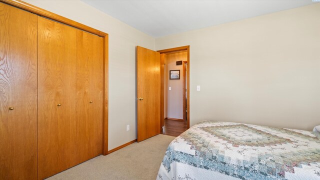 4318 Desert Pl, Pasco, WA 99301 - bedroom featuring light colored carpet and a closet