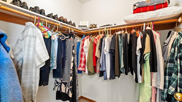 4318 Desert Pl, Pasco, WA 99301 - view of spacious closet