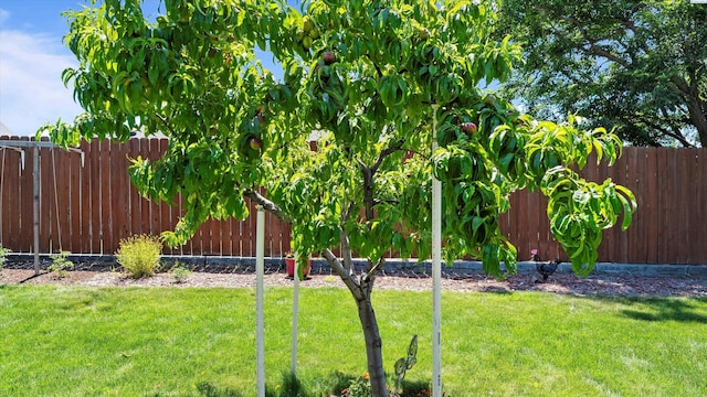 4318 Desert Pl, Pasco, WA 99301 - view of yard