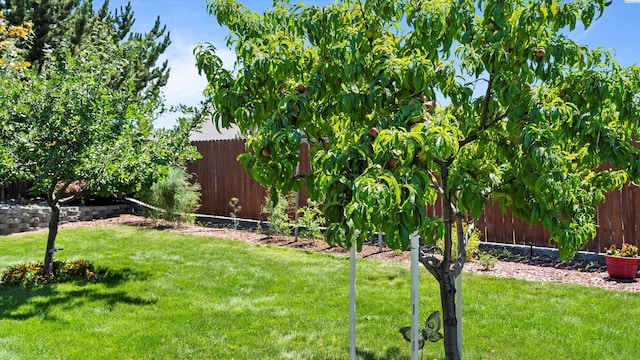 4318 Desert Pl, Pasco, WA 99301 - view of fenced backyard