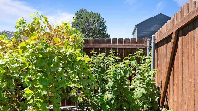 4318 Desert Pl, Pasco, WA 99301 - view of yard