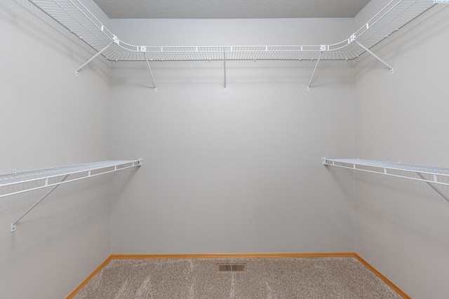 spacious closet featuring visible vents and carpet flooring