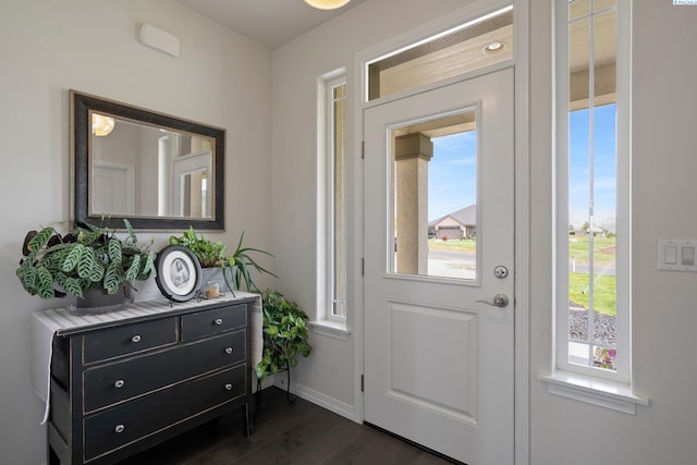 foyer entrance with plenty of natural light and dark hardwood / wood-style floors