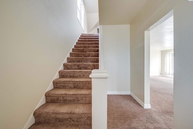 staircase featuring carpet