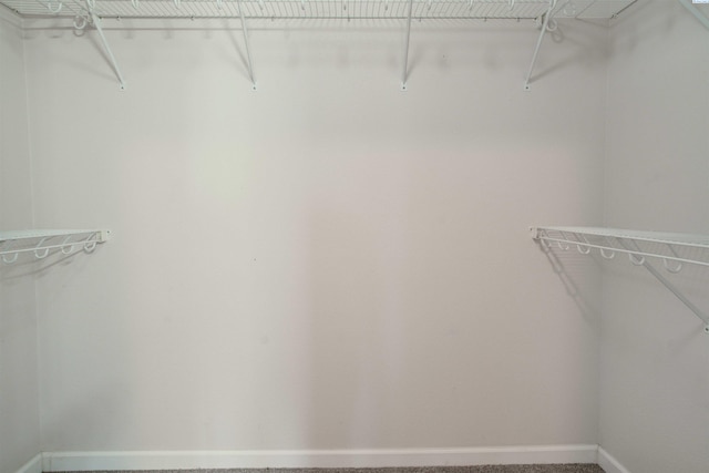 4210 Cornish Ln, Pasco, WA 99301 - view of spacious closet