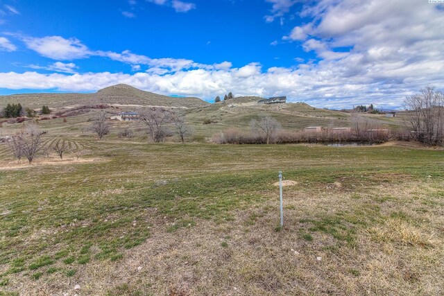 243 Collins Rd, Selah, WA 98942 - photo 22