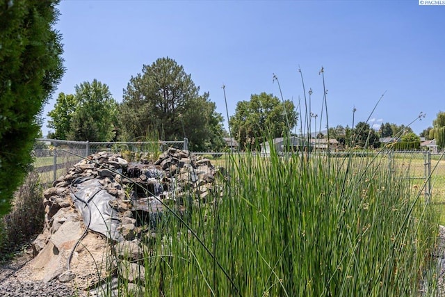 10012 Maple Dr, Pasco, WA 99301 - view of yard
