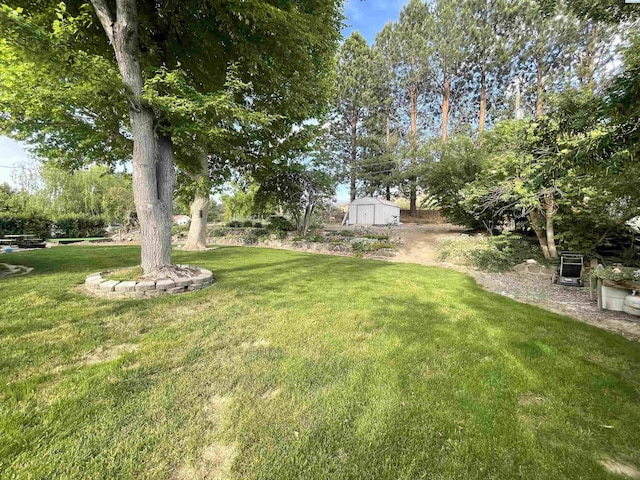 976 Campbell Dr, Prosser, WA 99350 - view of grassy yard