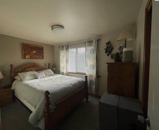 976 Campbell Dr, Prosser, WA 99350 - view of carpeted bedroom