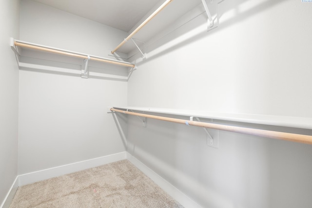 6563 W 30th Pl, Kennewick, WA 99338 - spacious closet with carpet floors