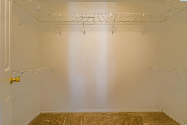 927 N Owen Ave, Pasco, WA 99301 - walk in closet with carpet flooring
