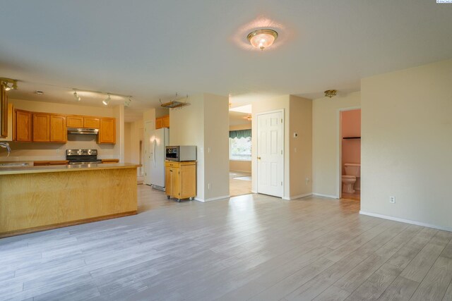 927 N Owen Ave, Pasco, WA 99301 - kitchen with appliances with stainless steel finishes, a sink, open floor plan, light wood-style flooring, and under cabinet range hood