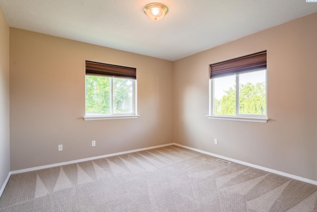 927 N Owen Ave, Pasco, WA 99301 - empty room featuring plenty of natural light, baseboards, and carpet