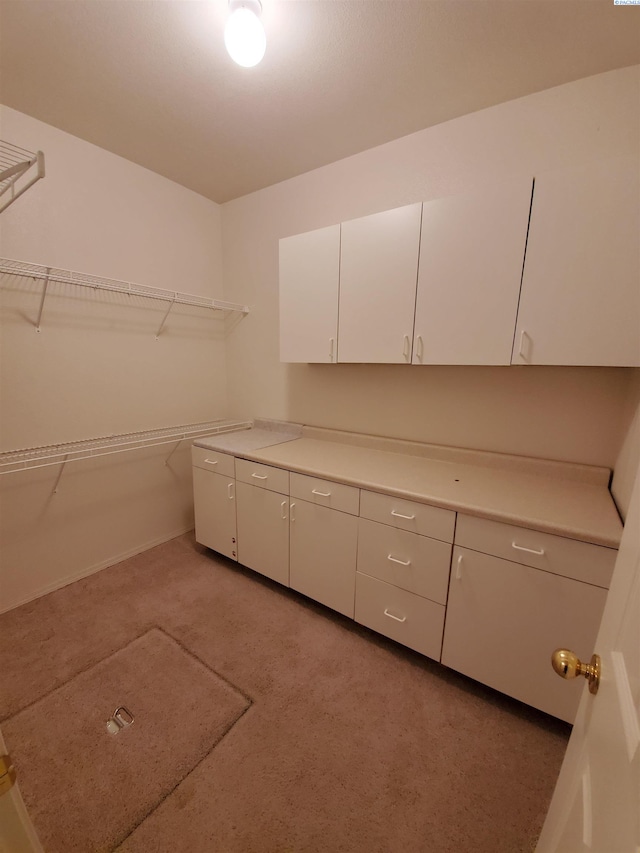 5416 Mariner Ln, Pasco, WA 99301 - walk in closet with light colored carpet