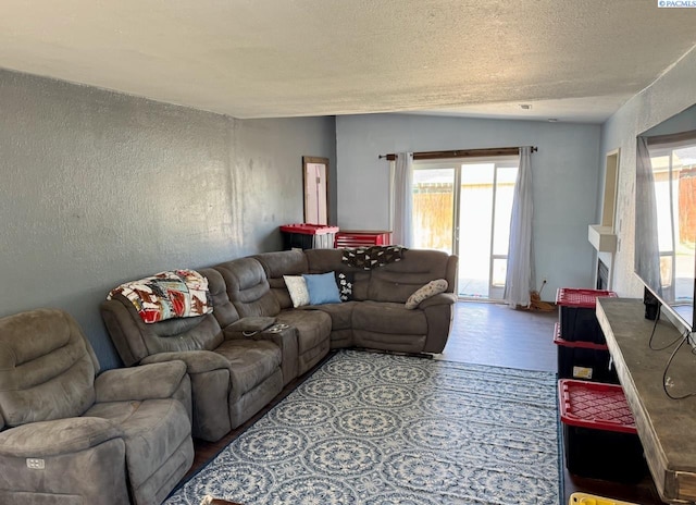 2402 Dover St, Richland, WA 99352 - living room featuring healthy amount of natural light, wood finished floors, a textured ceiling, and a textured wall