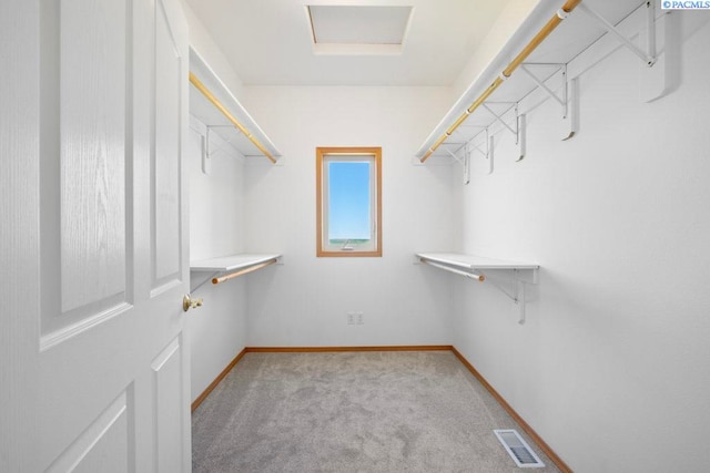 1815 NW Nicole Ct, Pullman, WA 99163 - walk in closet with light carpet