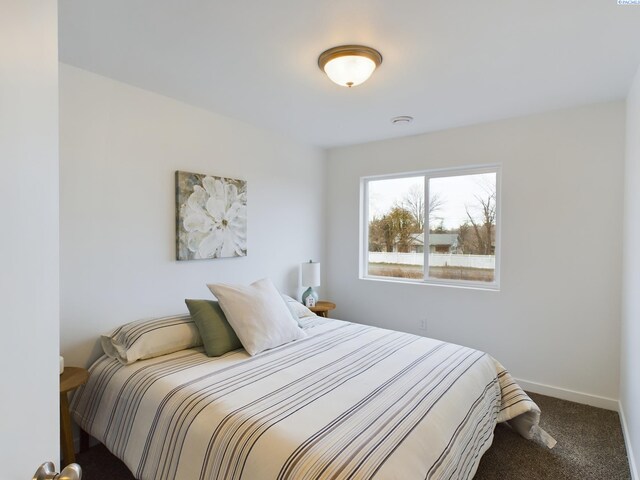 4738 W Quinalt Pl, Kennewick, WA 99336 - photo 19
