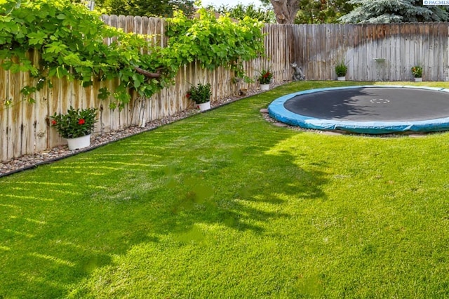 4834 W Robin Ct, West Richland, WA 99353 - fenced backyard with a trampoline
