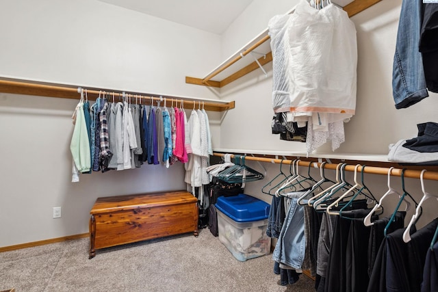 8712 W 9th Ave, Kennewick, WA 99336 - walk in closet with carpet flooring
