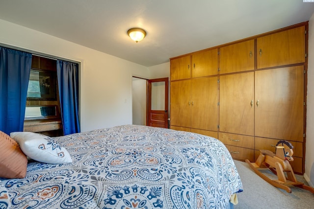 bedroom with a closet and carpet