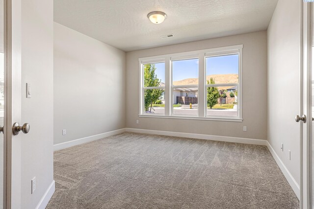 4119 Corvina St, Richland, WA 99352 - photo 8