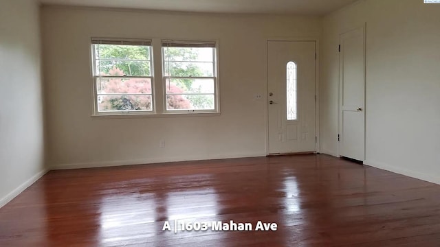 foyer entrance with hardwood / wood-style flooring
