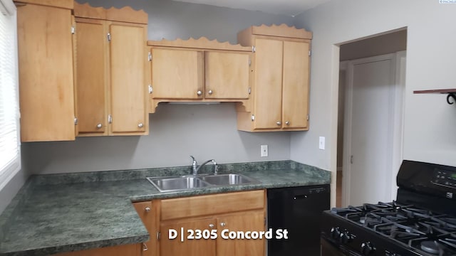 kitchen featuring sink and black appliances