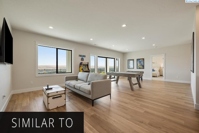 living room with light hardwood / wood-style flooring