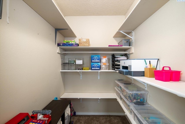 2519 W Grand Rhonde Pl, Kennewick, WA 99336 - view of storage area