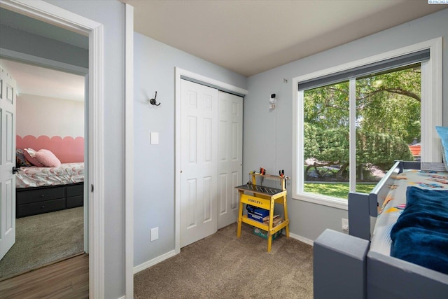 2519 W Grand Rhonde Pl, Kennewick, WA 99336 - bedroom with carpet, multiple windows, and baseboards