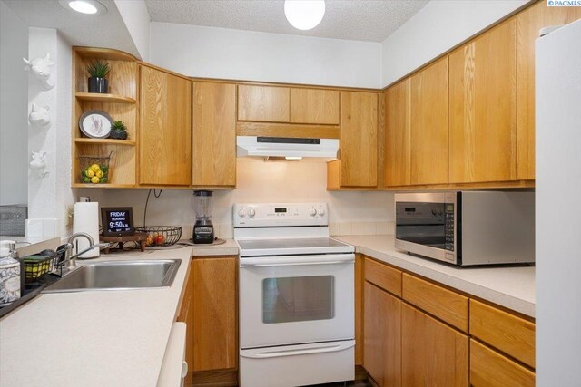 1906 Mahan Dr, Richland, WA 99354 - photo 8