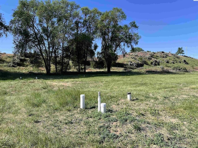 166903 W Byron Rd, Prosser, WA 99350 - photo 3