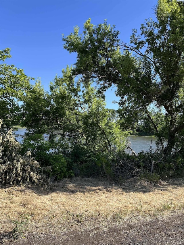 166903 W Byron Rd, Prosser, WA 99350 - photo 13